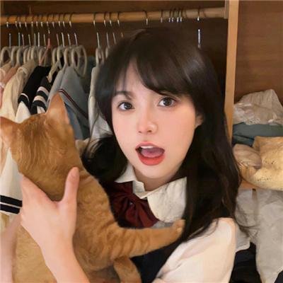 双凤奇案